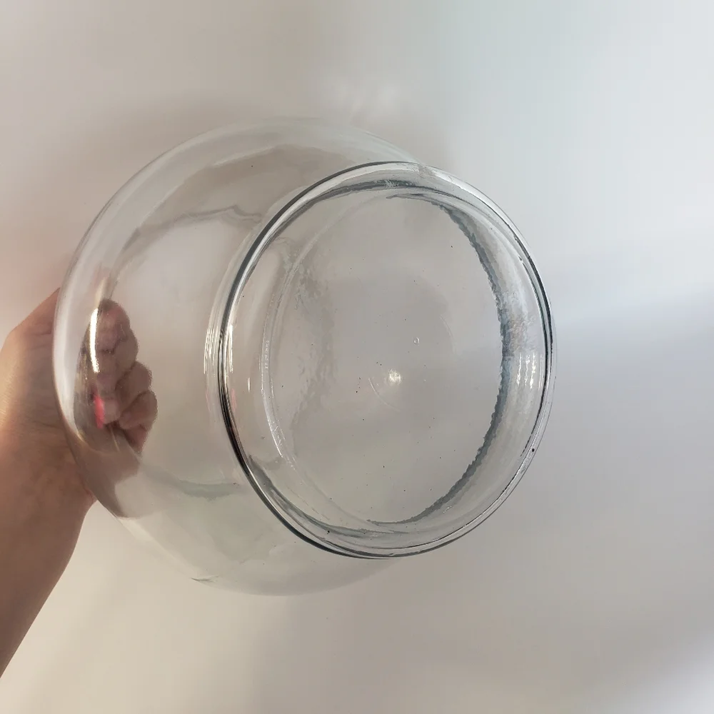 Footed Glass Fish Bowl Aquarium Container For Terrariums And Centerpieces